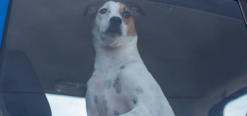 Car Lockout Solutions in Susanville, California